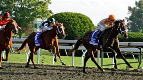 tvg horse racing|FanDuel Racing .